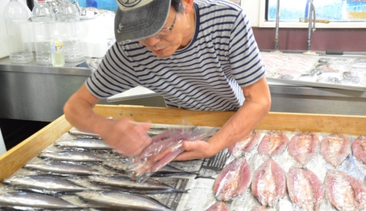 島原の地で作られるひもの工房「はま惣」の美味しい魚たち