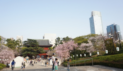 桜の舞い散る増上寺と後ろに東京タワー！門前町の賑わいを感じる地！