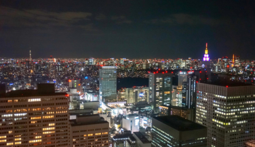 首都東京を一望！ツリーとタワーが見える「東京都庁北展望室」へ行く