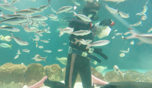 屋内型でもペンギンの散歩が見られる！新札幌にある「サンピアザ水族館」は駅直結の公共水族館