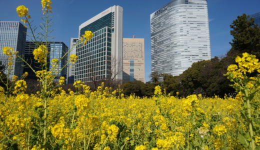 四季折々の植物が見られる！汐留にある「東京都浜離宮恩賜庭園」は都会の中の広大なオアシス