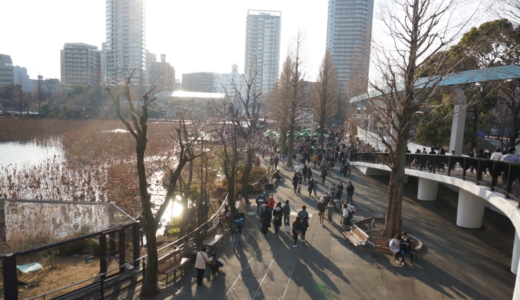 日本で最も多い入園者数！関東で唯一ジャイアントパンダに会える「上野動物園」を訪れる