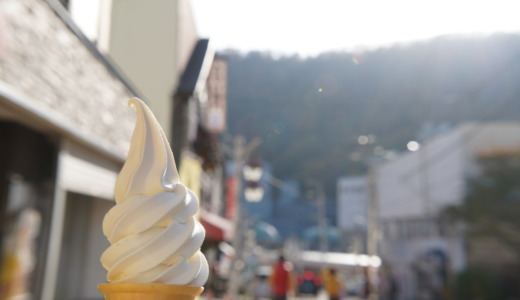 練り込まれた蜂蜜！はちみつソフトが食べられる「杉養蜂園登別店」へ