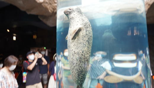1周まわるのに約2時間！ホッキョクグマとペンギンが見どころの旭川市旭山動物園へ