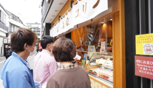 写真映えする草津の新名物！味も美味しい草津温泉プリンを入手する