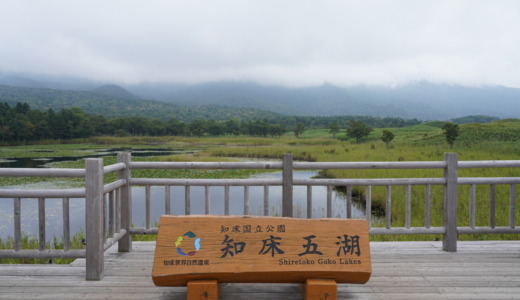 ヒグマやシカに遭遇することも！高架木道で安全に散策できる知床を代表する景色「知床五湖」へ