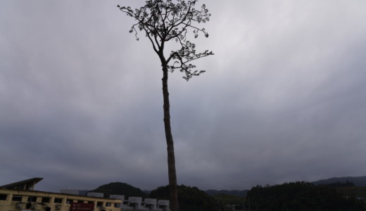 奇跡の一本松がある公園！東日本大震災津波伝承館で津波の恐ろしさを学ぶ