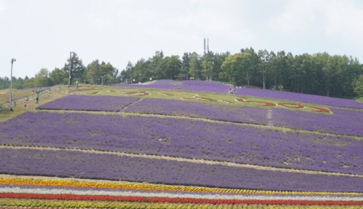 中富良野の「北星山ラベンダー園」にてアトラクション感覚で頂上展望台まで移動できる観光リフトに乗ってみた