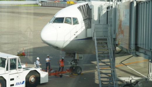 自粛解除で大盛況の夏！ANAの51便で羽田から札幌・新千歳へ（2021年8月版）
