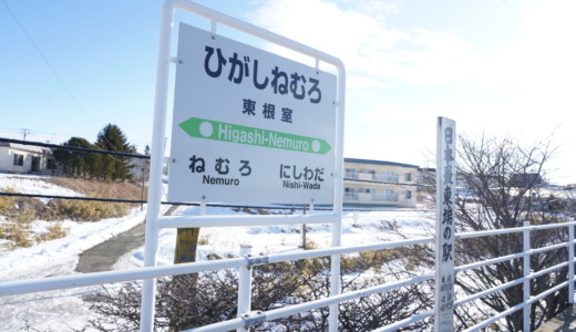 ホームだけの簡素な作りの無人駅！日本の最東端にある鉄道駅「東根室駅」に行ってみた