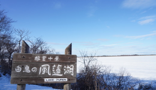 道の駅スワン44ねむろのすぐ近く！風蓮湖の白鳥が見れることもある「風蓮湖展望デッキ」を訪れる