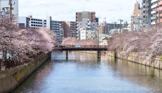 川沿いに桜の木が並ぶ花見名所！約3.5kmの散策路「大岡川プロムナード」の桜の開花の経過