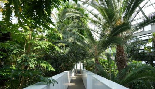 高島平駅から徒歩約6分！東南アジアの熱帯林を再現した植物園「板橋区立熱帯環境植物館」へ行く