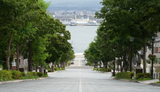 坂の先に函館港を眺められる絶景スポット！八幡神社があったことで名付けられた「八幡坂」を訪れる
