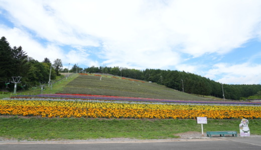 中富良野駅から徒歩約5分！急斜面にある花畑が美しい「なかふらの北星山ラベンダー園」を訪れる