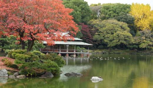 清澄白河駅から徒歩約5分の飛び石がある日本庭園！岩崎弥太郎が造園した「清澄庭園」を訪れる