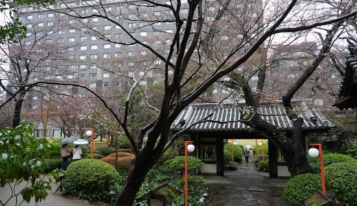 品川駅近くの桜の名所！ホテル中庭にある「プリンスホテル日本庭園」を訪れる