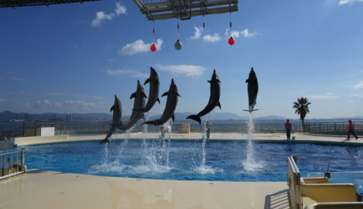 博多から日帰りで行ける大型水族館！豪盛なイルカショーが目玉展示の「マリンワールド海の中道」を訪れる