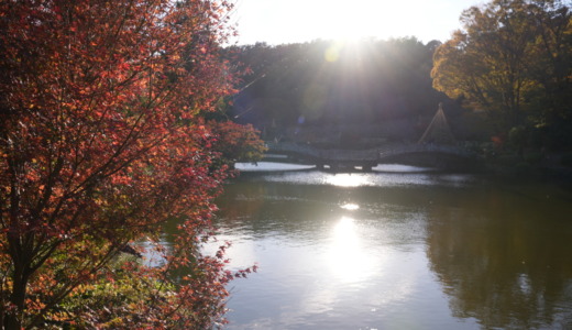 町田駅から路線バスで約15分！秋には紅葉がきれいな風光明媚な公園「町田薬師池公園 四季彩の杜」を訪れる
