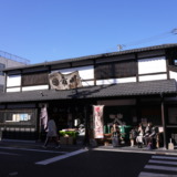 伊豆の銘茶ぐり茶を入手！渋みが少ないまろやかなお茶「市川製茶 湯の花通り店」を訪れる