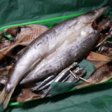 伊豆下田・お手頃価格で美味しい干物！新鮮な魚のひもの製造直売所「石亀水産」を訪れる